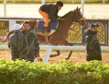 09.07 Corridas » 09.07 Corridas » Matinal 290724